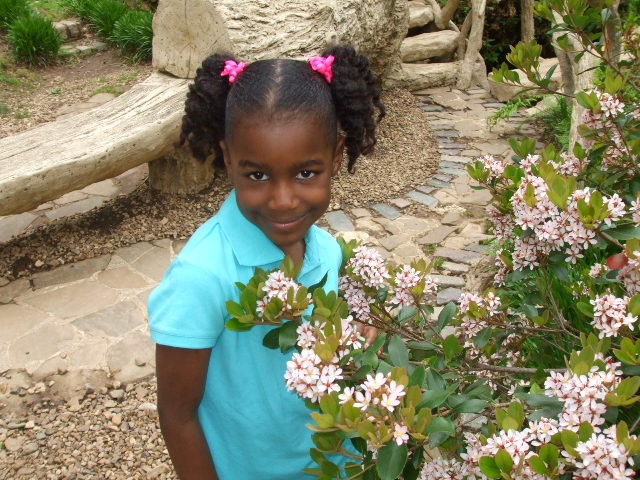 dscf0253.jpg